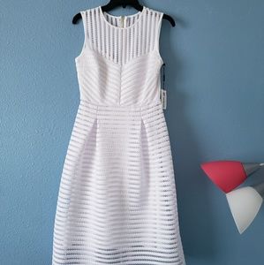 Calvin Klein lace dress size 2